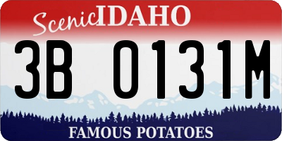 ID license plate 3B0131M