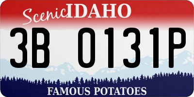 ID license plate 3B0131P