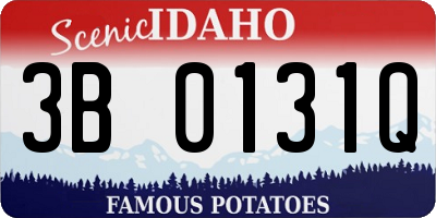 ID license plate 3B0131Q
