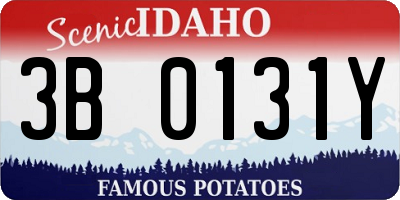 ID license plate 3B0131Y