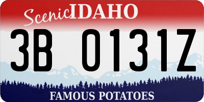 ID license plate 3B0131Z