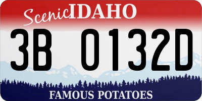 ID license plate 3B0132D