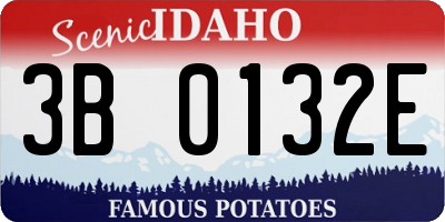 ID license plate 3B0132E