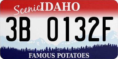 ID license plate 3B0132F