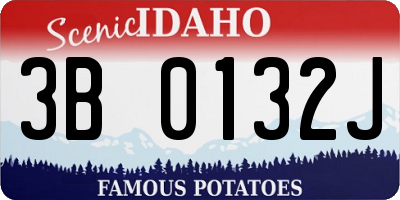 ID license plate 3B0132J