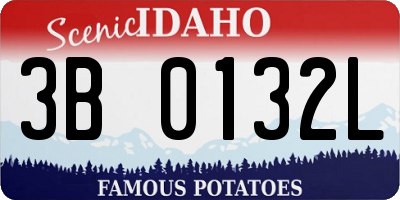 ID license plate 3B0132L