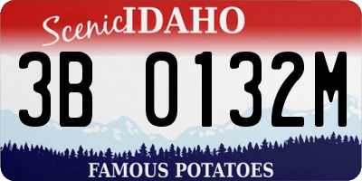 ID license plate 3B0132M