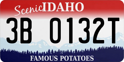 ID license plate 3B0132T