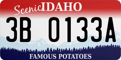 ID license plate 3B0133A