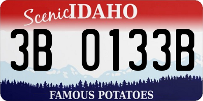 ID license plate 3B0133B