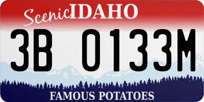 ID license plate 3B0133M