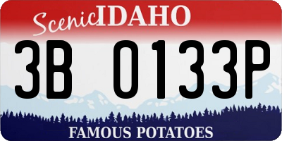 ID license plate 3B0133P