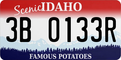 ID license plate 3B0133R