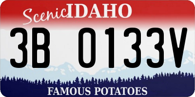 ID license plate 3B0133V