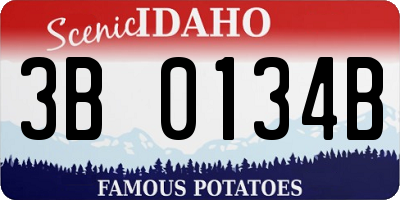 ID license plate 3B0134B