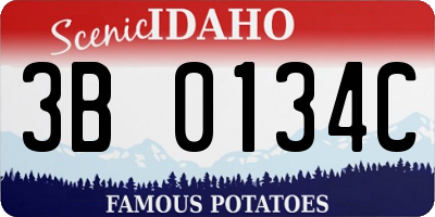ID license plate 3B0134C