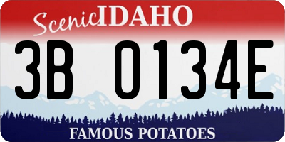 ID license plate 3B0134E