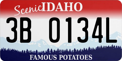 ID license plate 3B0134L