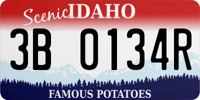ID license plate 3B0134R