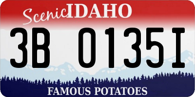 ID license plate 3B0135I
