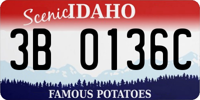 ID license plate 3B0136C