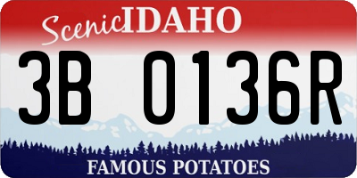 ID license plate 3B0136R