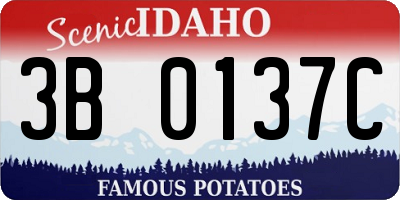 ID license plate 3B0137C