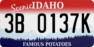 ID license plate 3B0137K