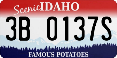 ID license plate 3B0137S