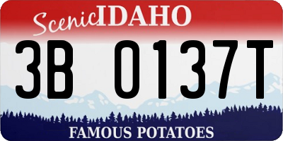 ID license plate 3B0137T