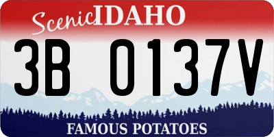 ID license plate 3B0137V