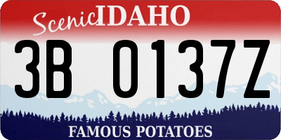 ID license plate 3B0137Z