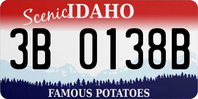 ID license plate 3B0138B