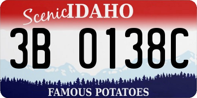 ID license plate 3B0138C