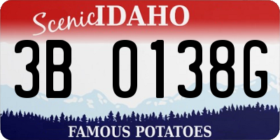 ID license plate 3B0138G