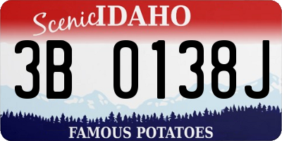 ID license plate 3B0138J