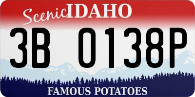 ID license plate 3B0138P