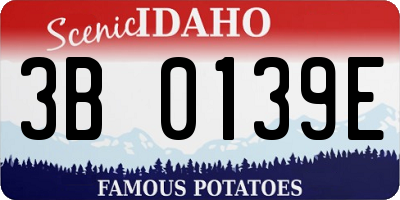 ID license plate 3B0139E