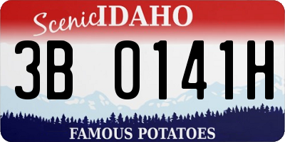 ID license plate 3B0141H