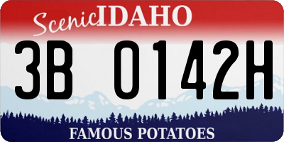 ID license plate 3B0142H