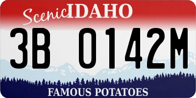 ID license plate 3B0142M