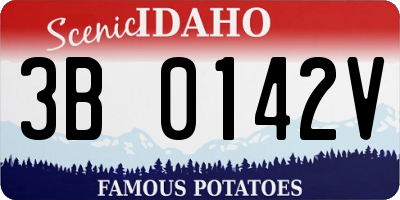 ID license plate 3B0142V