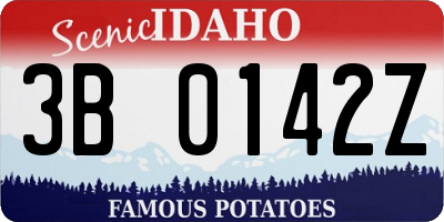 ID license plate 3B0142Z