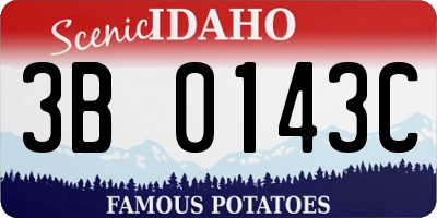 ID license plate 3B0143C