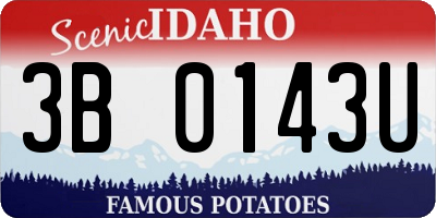 ID license plate 3B0143U