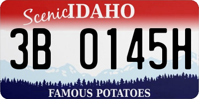 ID license plate 3B0145H