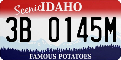 ID license plate 3B0145M