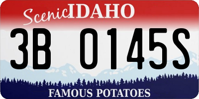 ID license plate 3B0145S