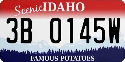 ID license plate 3B0145W
