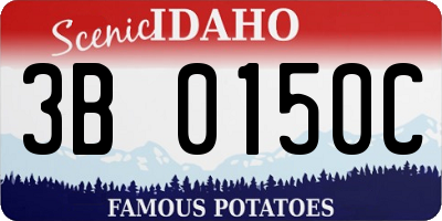ID license plate 3B0150C